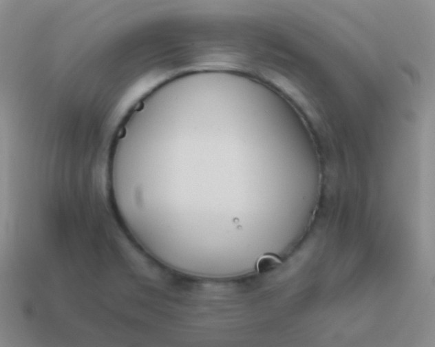 X0000114011469200910161721