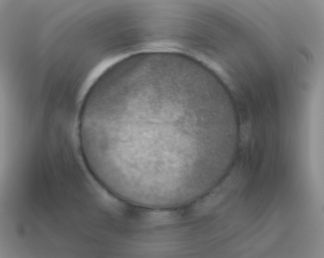 X0000114011470200910161721