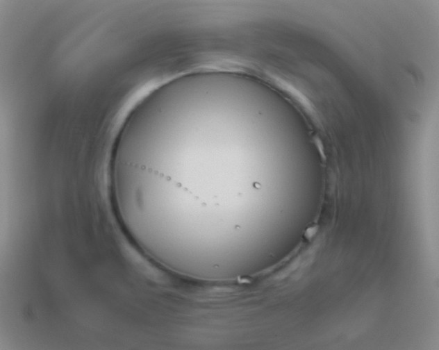 X0000114011471200910161721