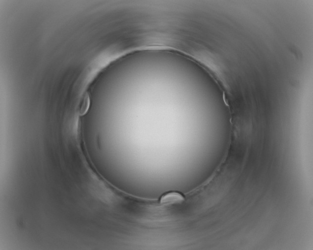 X0000114011472200910161721