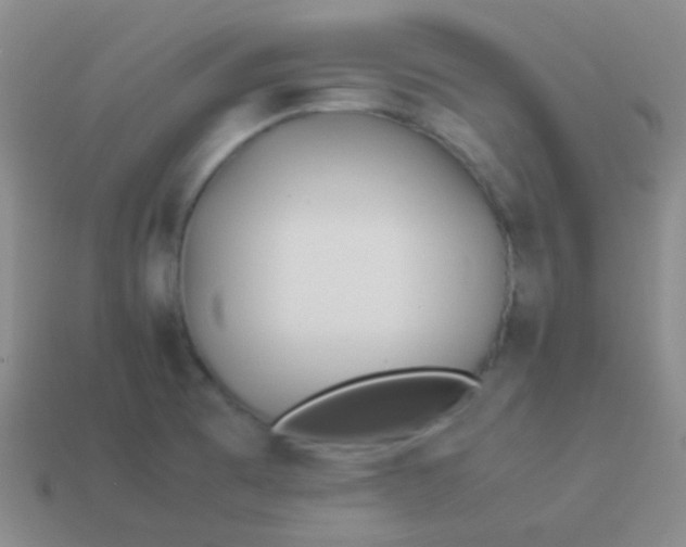 X0000114011473200910161721