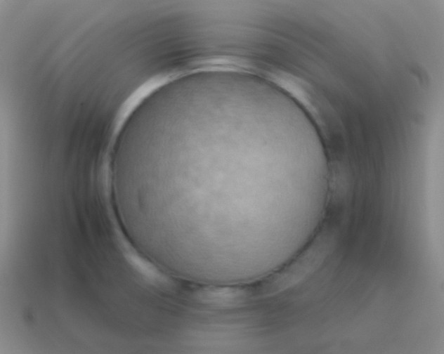 X0000114011474200910161721