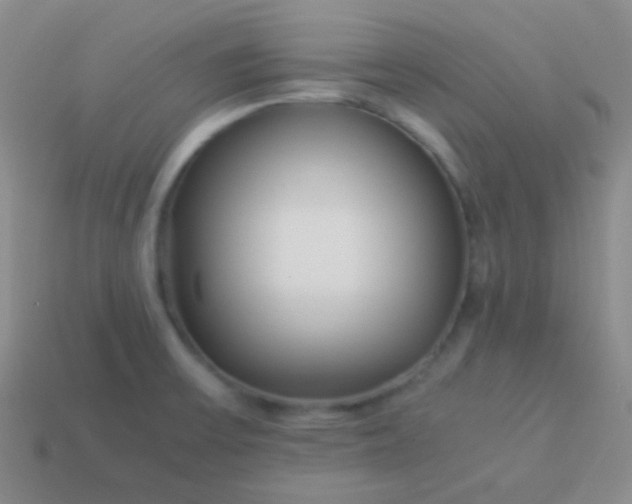 X0000114011475200910161721