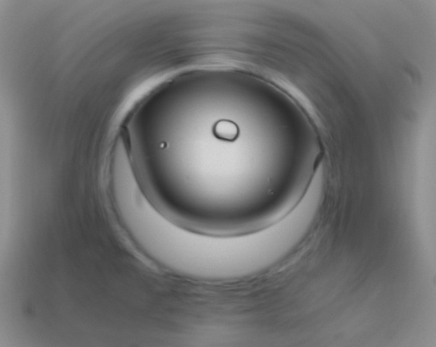 X0000114011477200910161721