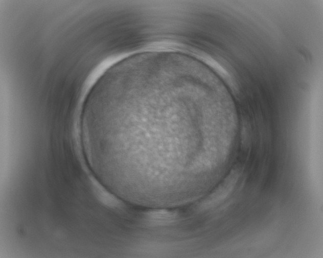 X0000114011478200910161721