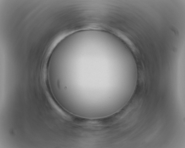 X0000114011479200910161721