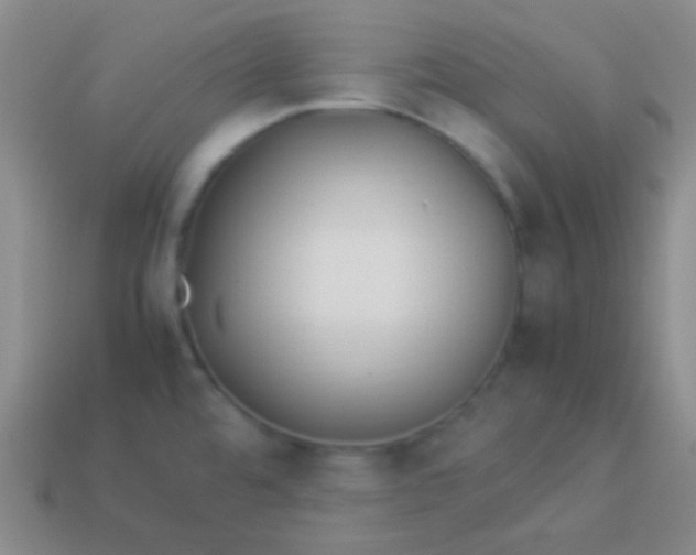 X0000114011480200910161721