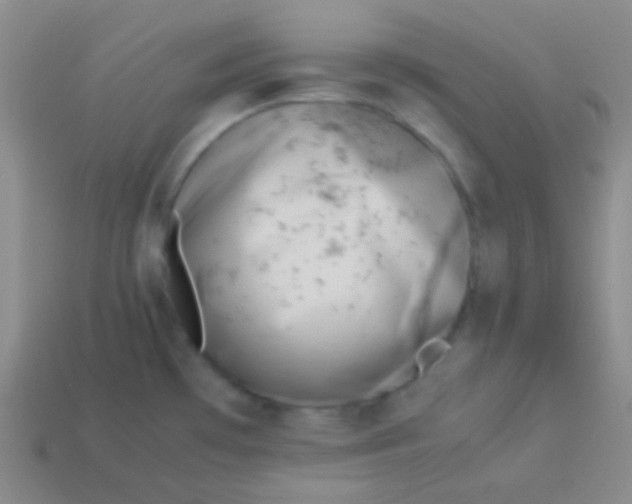 X0000114011481200910161721