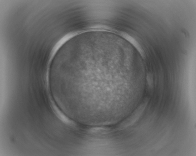 X0000114011482200910161721