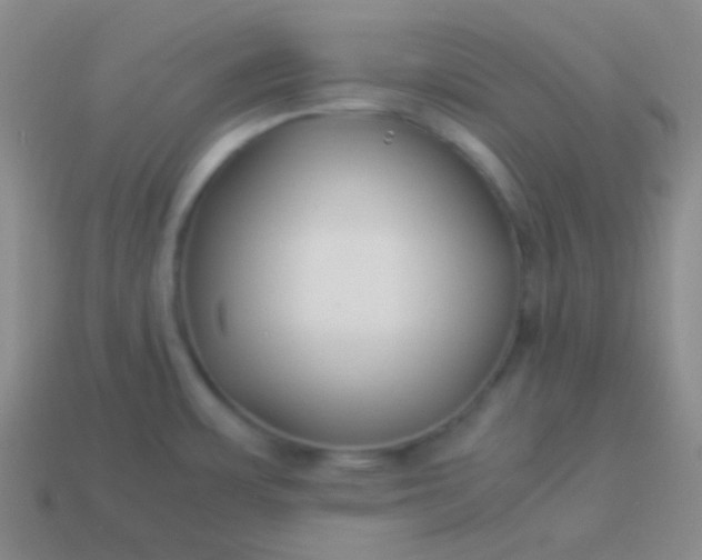 X0000114011483200910161721