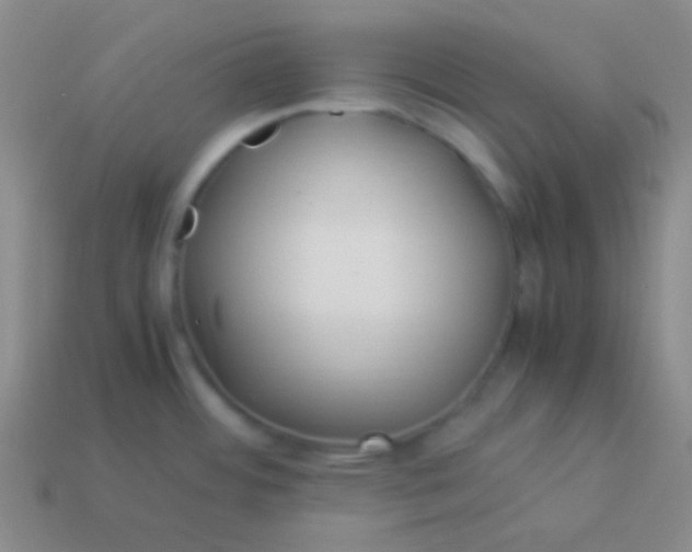 X0000114011484200910161721