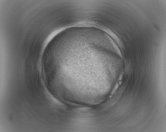 X0000114011486200910161721