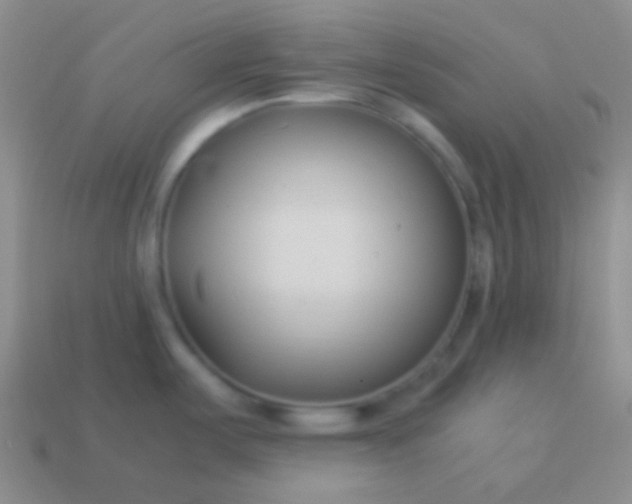 X0000114011487200910161721