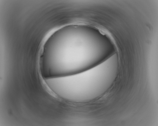 X0000114011488200910161721