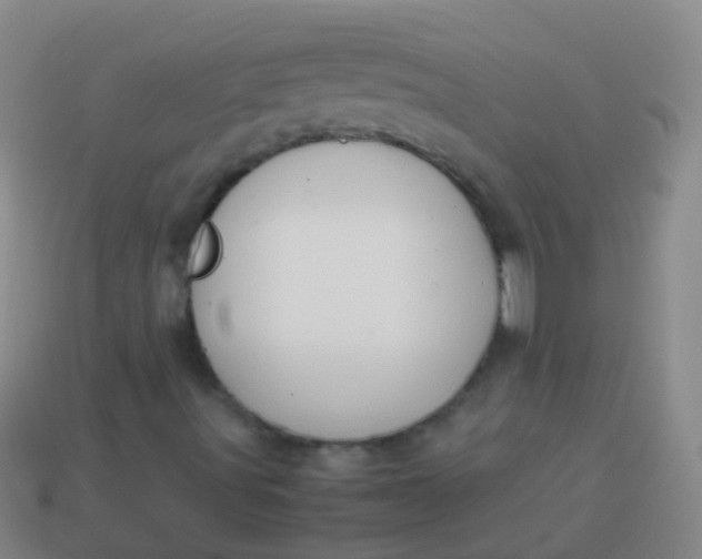 X0000114011491200910161720