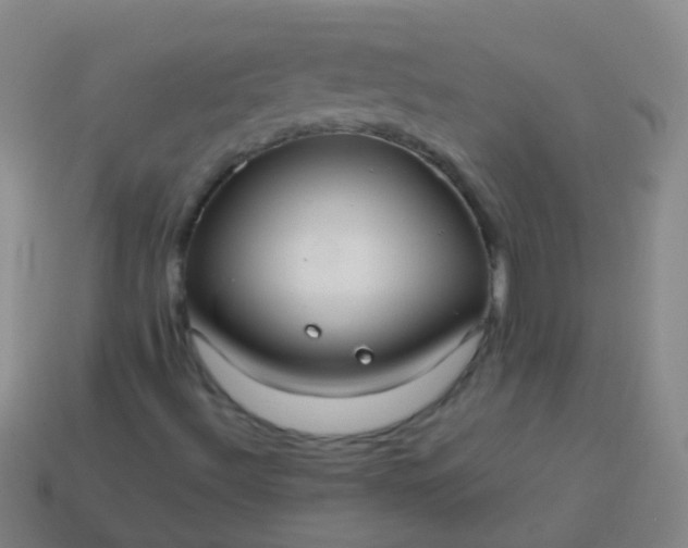 X0000114011492200910161720