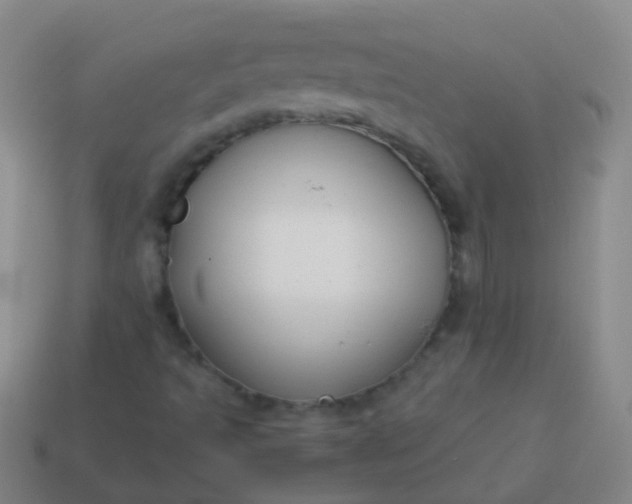 X0000114011493200910161720