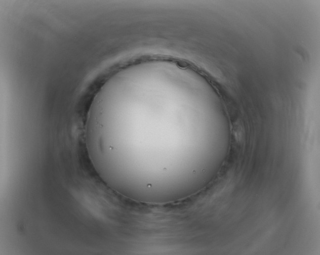 X0000114011495200910161720