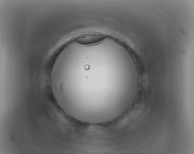 X0000114011496200910161720