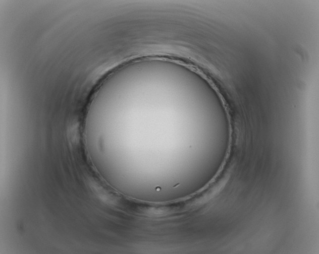 X0000114011497200910161720