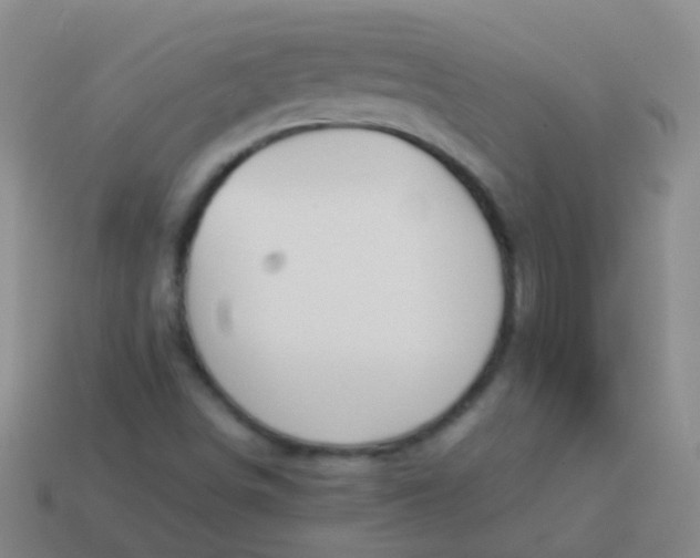 X0000114011498200910161720