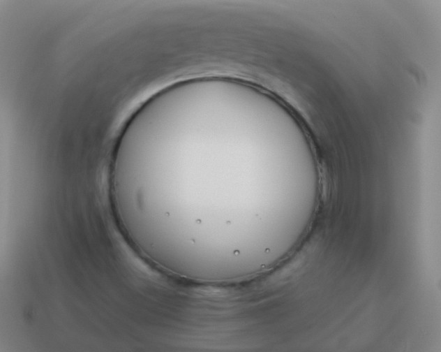 X0000114011500200910161720
