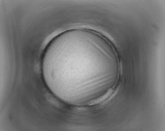 X0000114011501200910161720