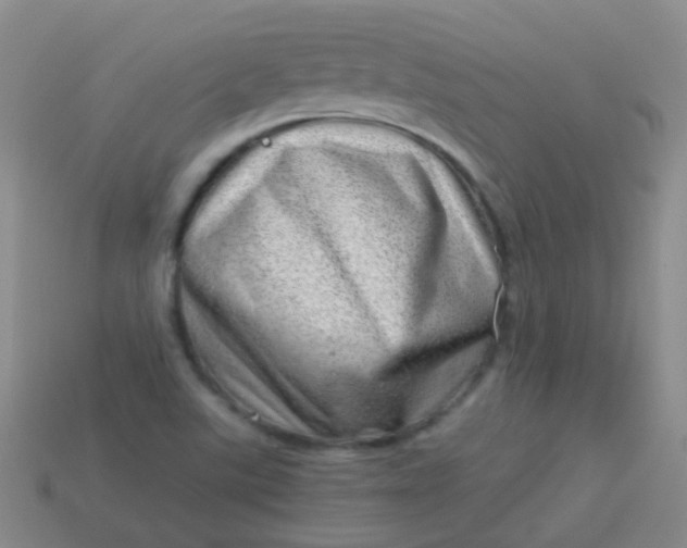 X0000114011507200910161720