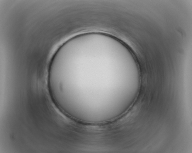 X0000114011508200910161720