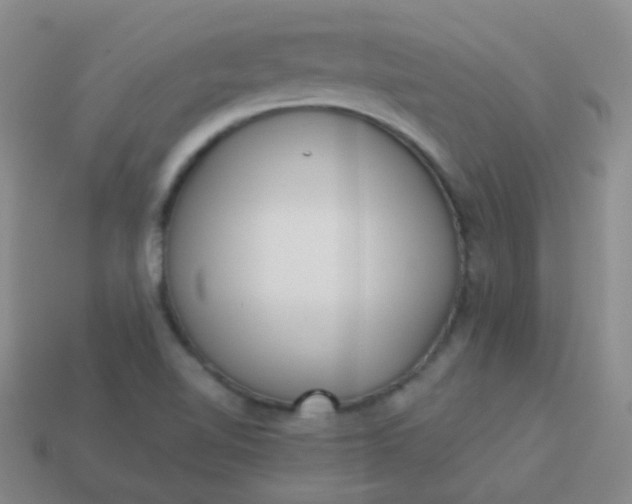 X0000114011510200910161720