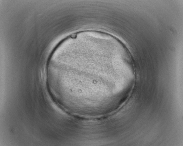 X0000114011515200910161720