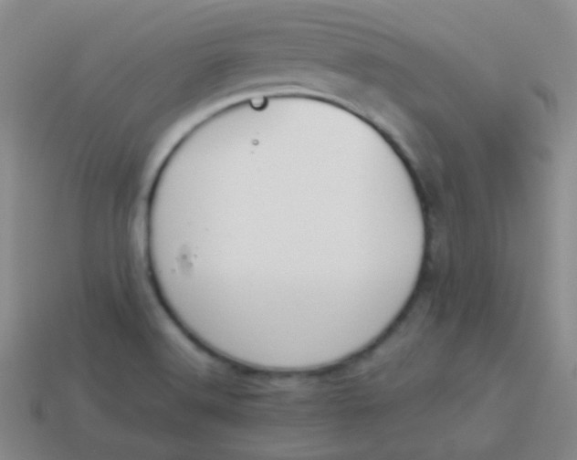 X0000114011516200910161720