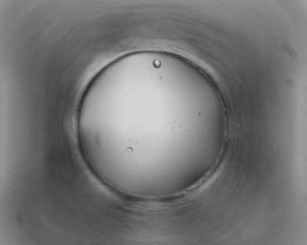 X0000114011517200910161721