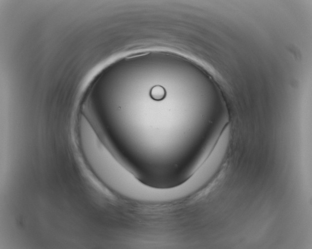 X0000114011518200910161721