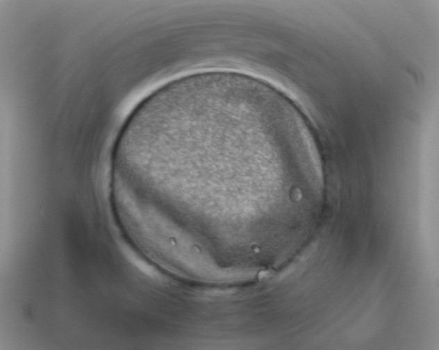 X0000114011519200910161721