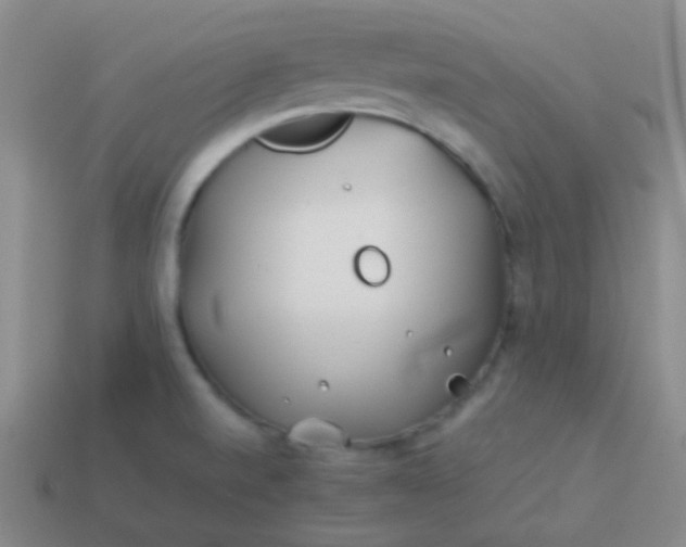 X0000114011520200910161721