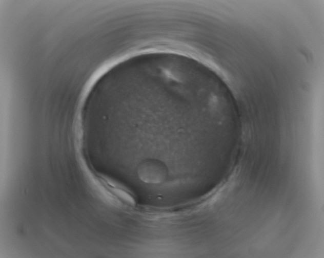 X0000114011522200910161721