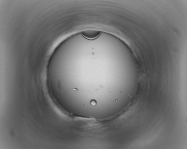 X0000114011523200910161721