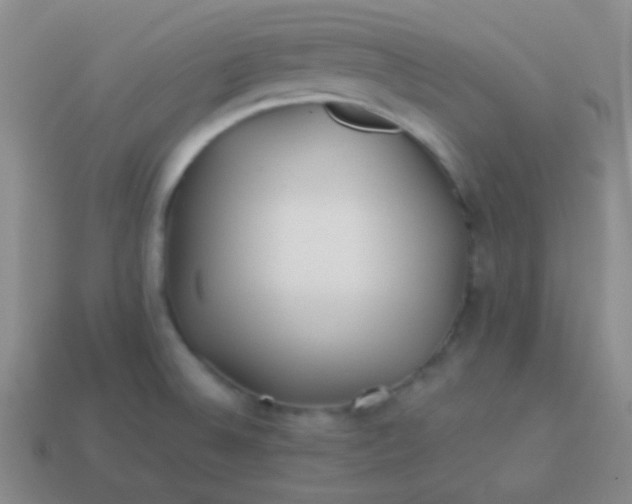 X0000114011524200910161721