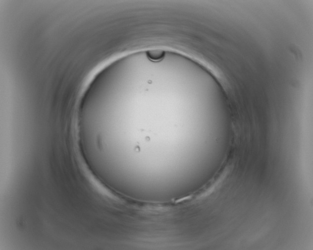 X0000114011526200910161721