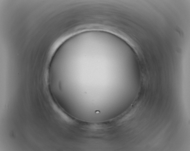 X0000114011527200910161721