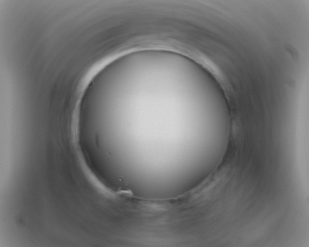 X0000114011528200910161721