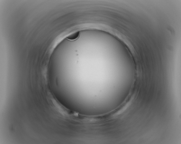 X0000114011529200910161721