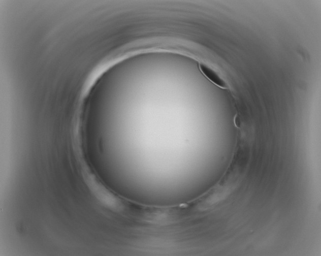 X0000114011530200910161721