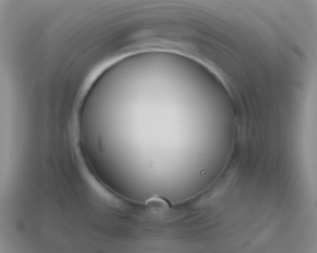 X0000114011531200910161721