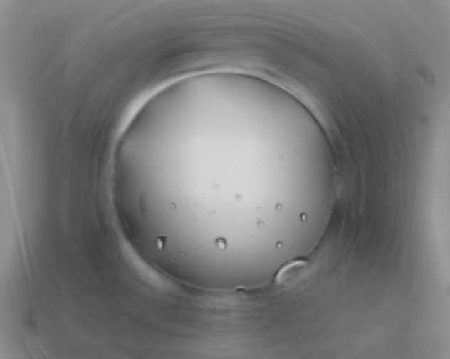 X0000114011532200910161721