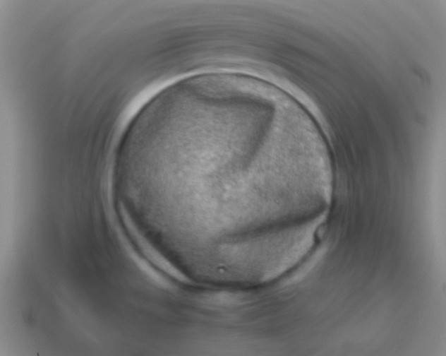 X0000114011533200910161721