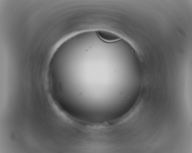 X0000114011534200910161721