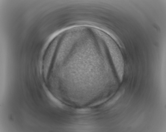 X0000114011535200910161721