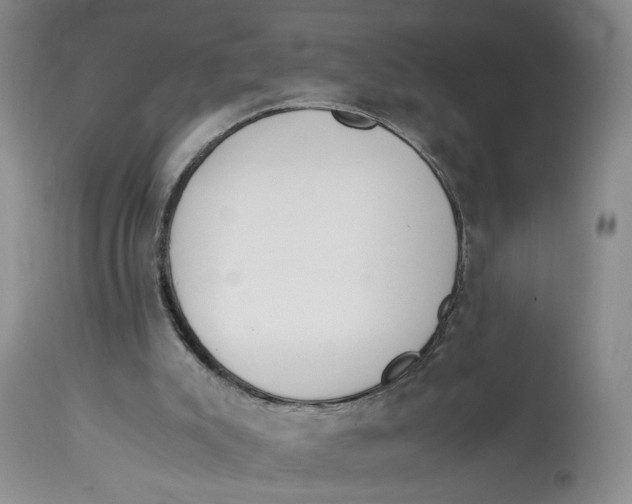 X0000114010007200910231825